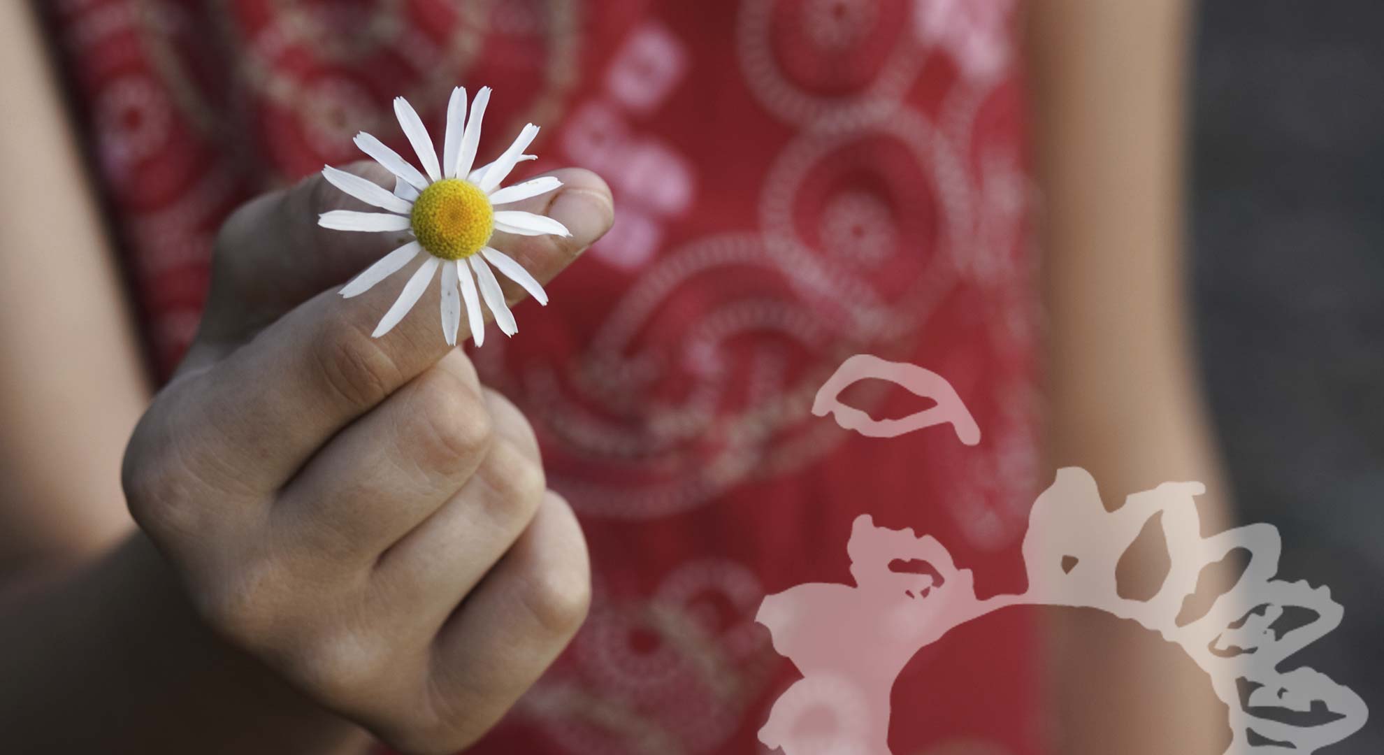 05 Hospiz Home - gänseblümchen -