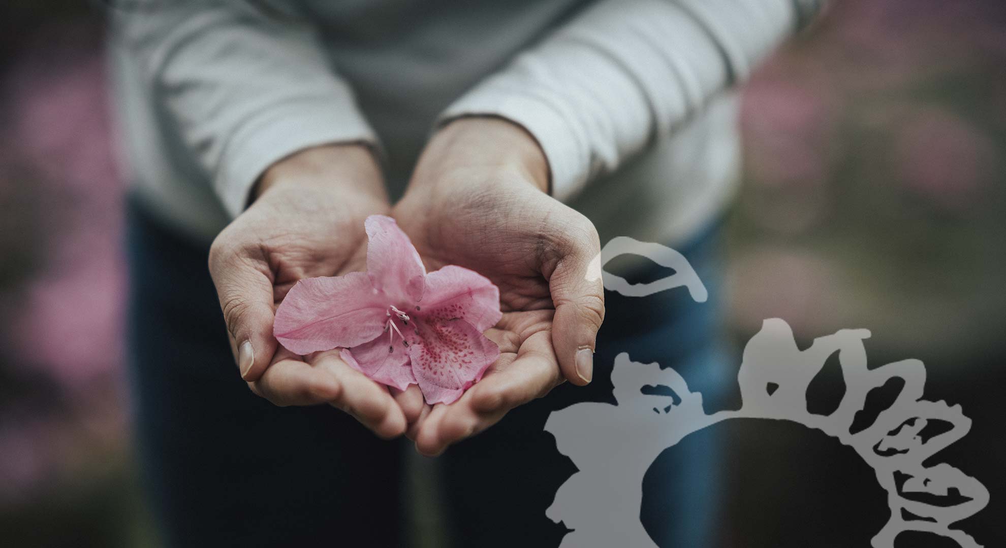 Hospiz Beratungsstellen - hand orchidee -