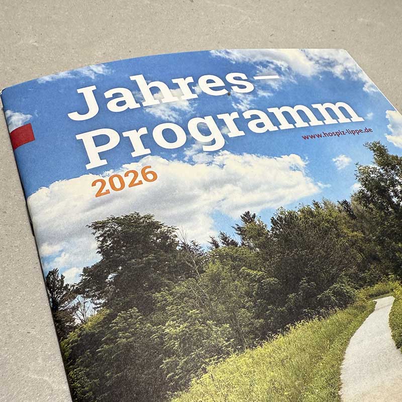 Ein Weg durch die Natur mit Bäumen und Gras